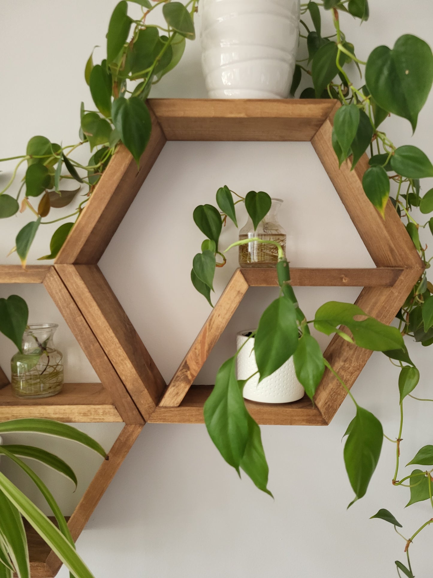 Set of 2 Wood Honey Hexagons