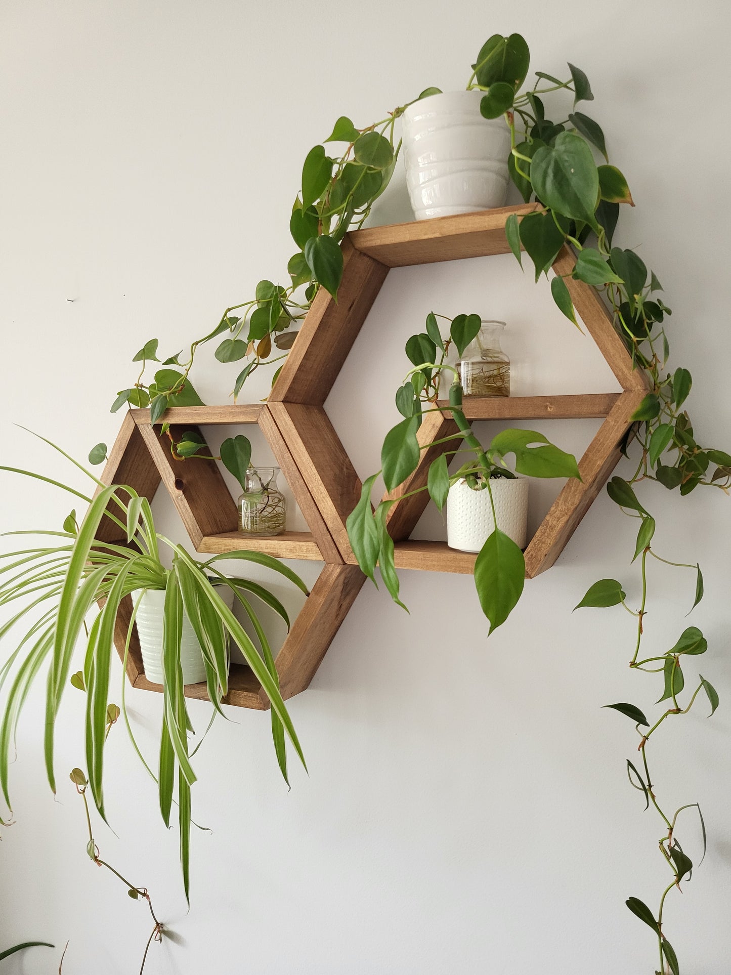 Set of 2 Wood Honey Hexagons