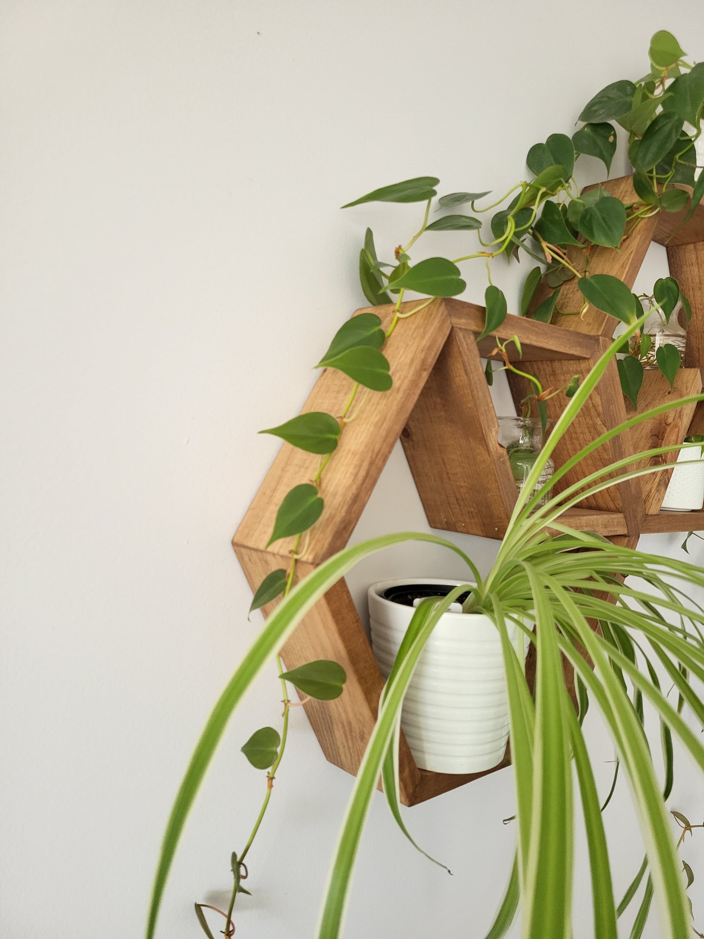 Set of 2 Wood Honey Hexagons