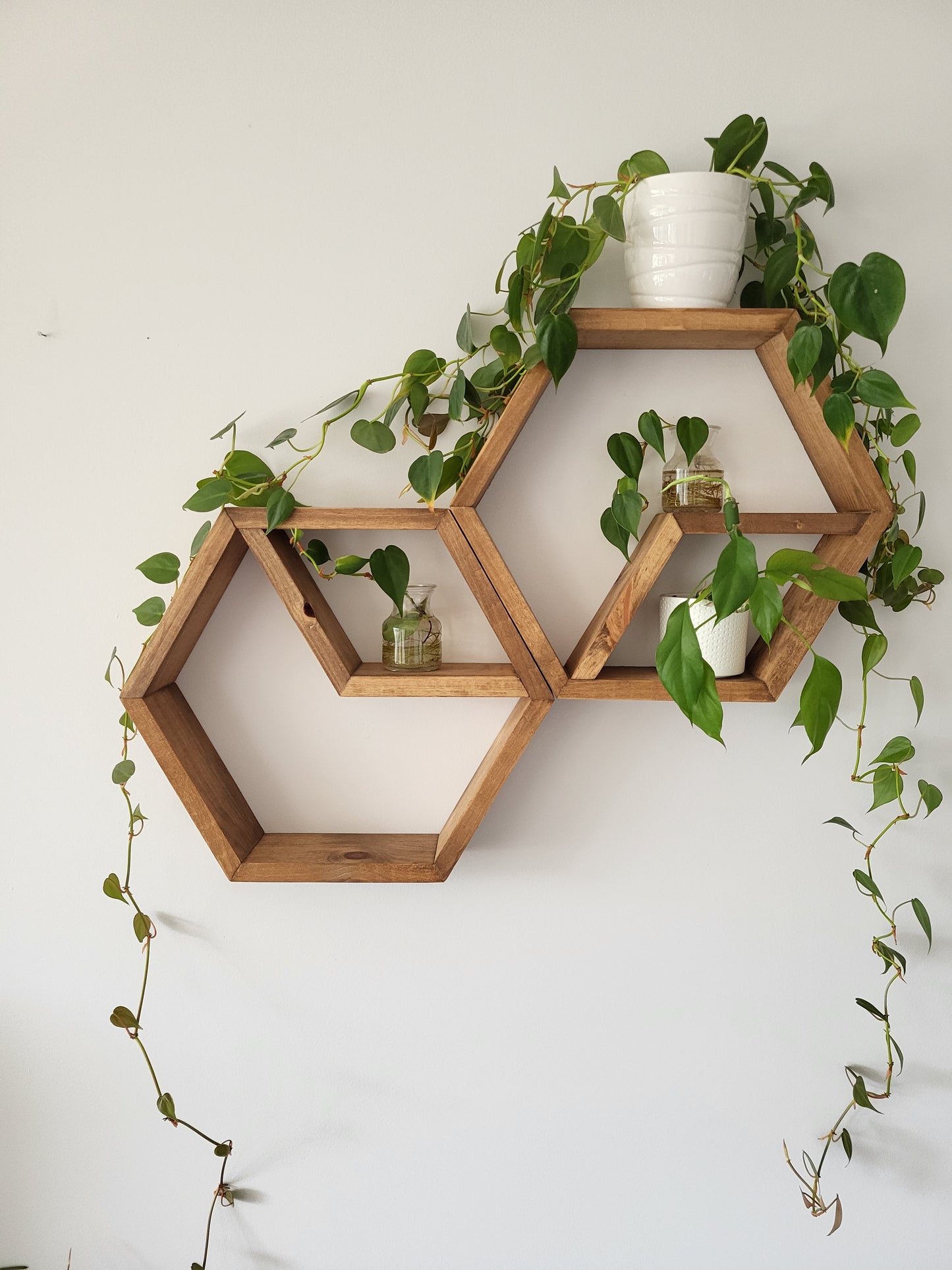Set of 2 Wood Honey Hexagons