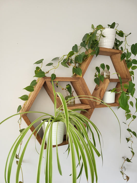Set of 2 Wood Honey Hexagons