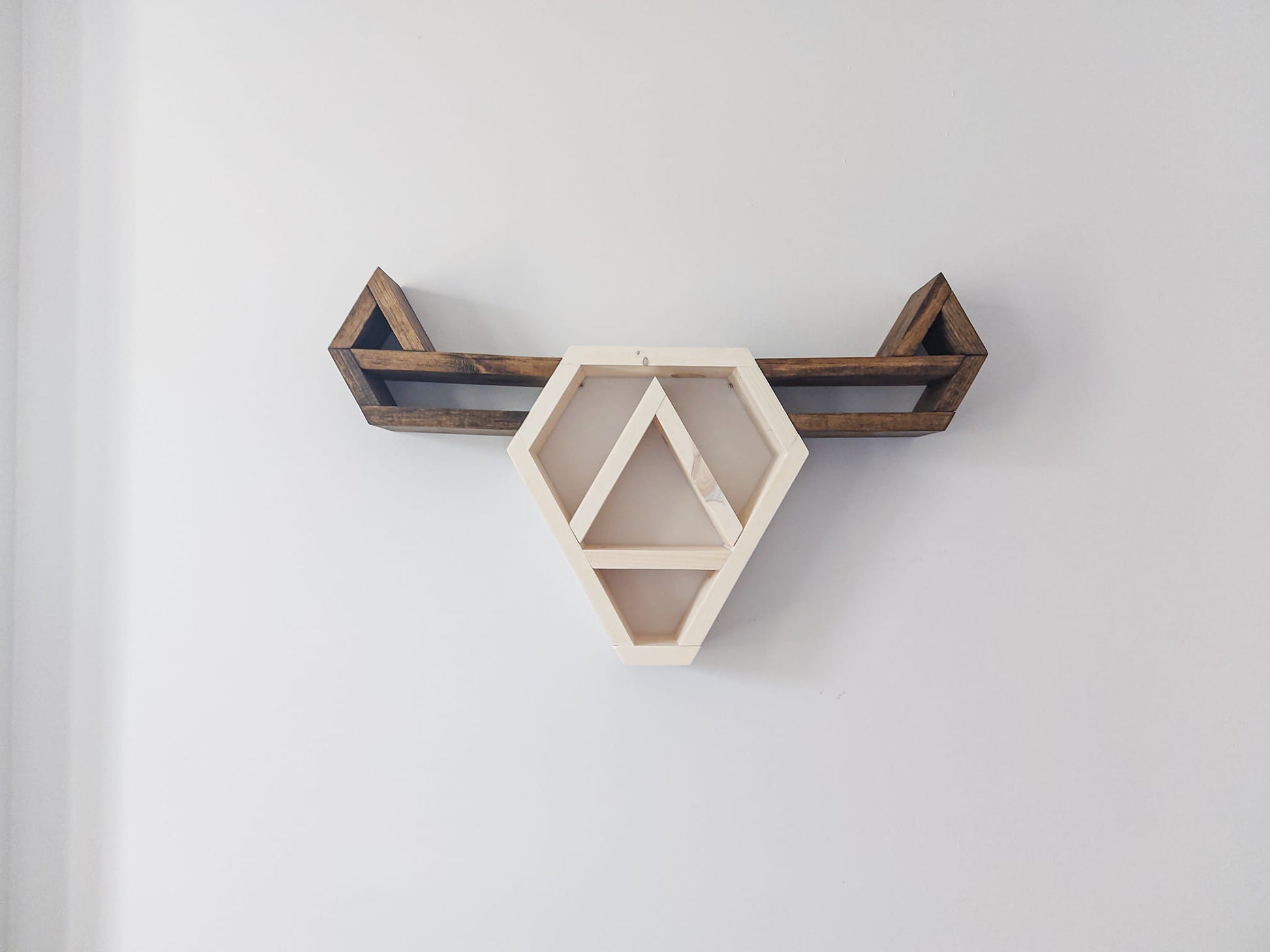 Highland Cow Art