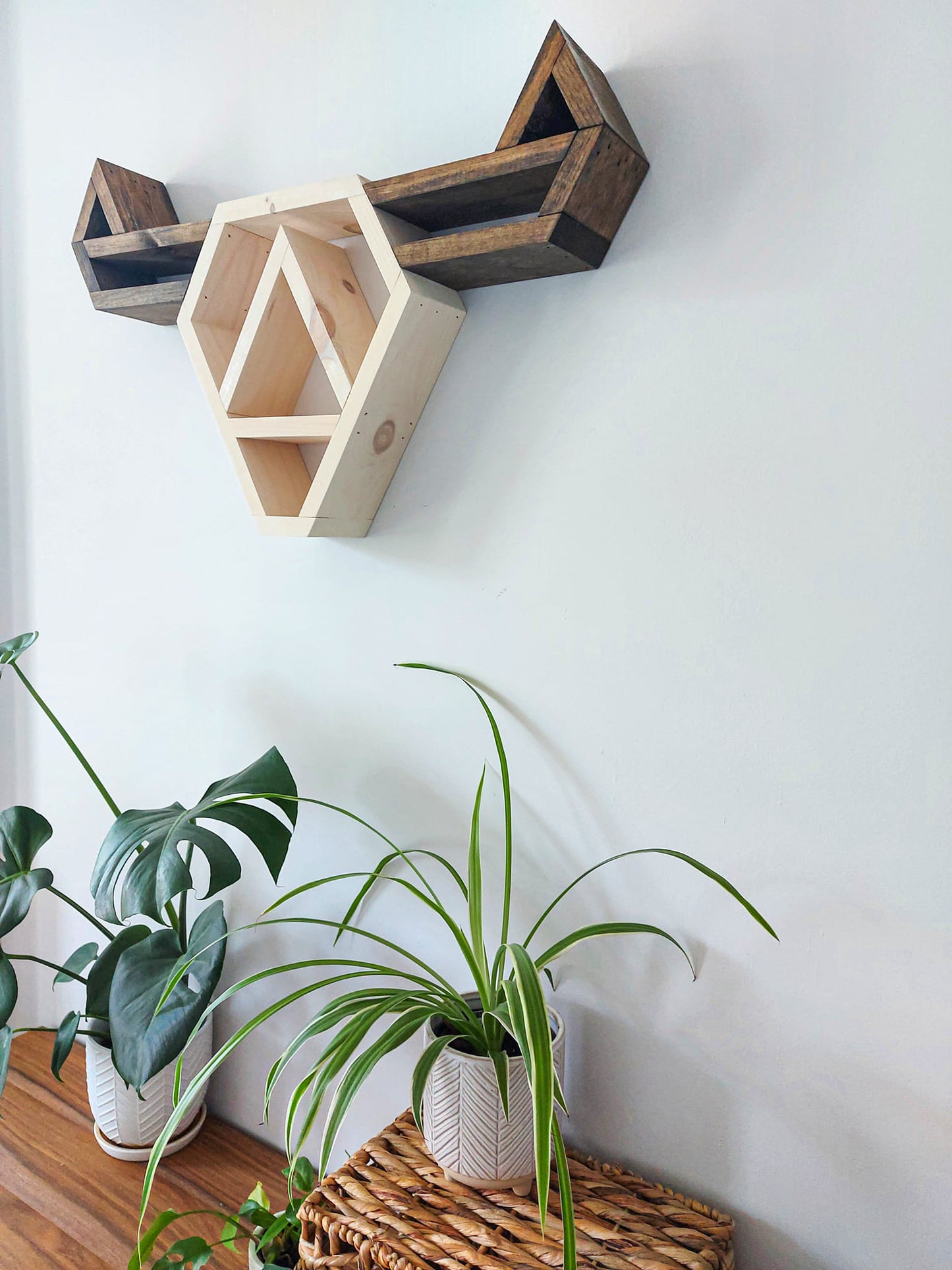 Highland Cow Wall Shelf