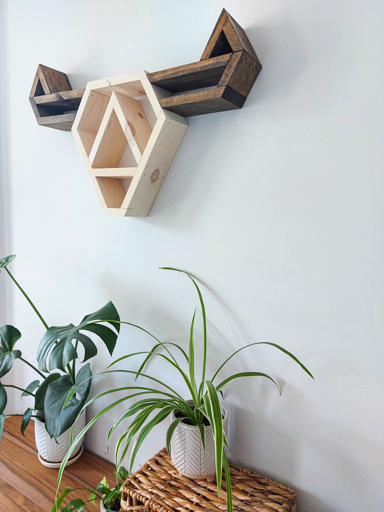 Highland Cow Wall Shelf